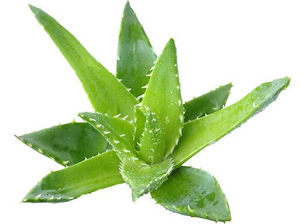 Gelarex contiene estratto di aloe